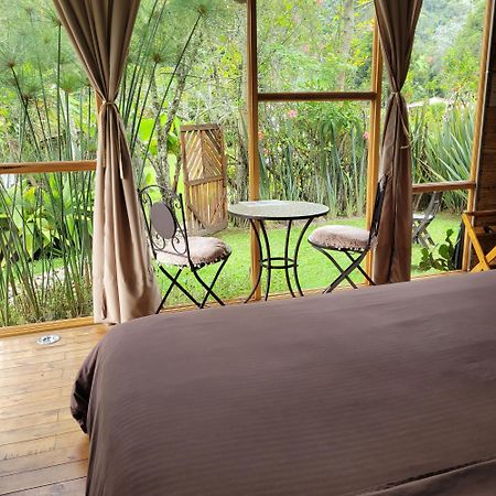 Exclusivo Cocora Con Jacuzzi Salento Quindio Villa Eksteriør bilde