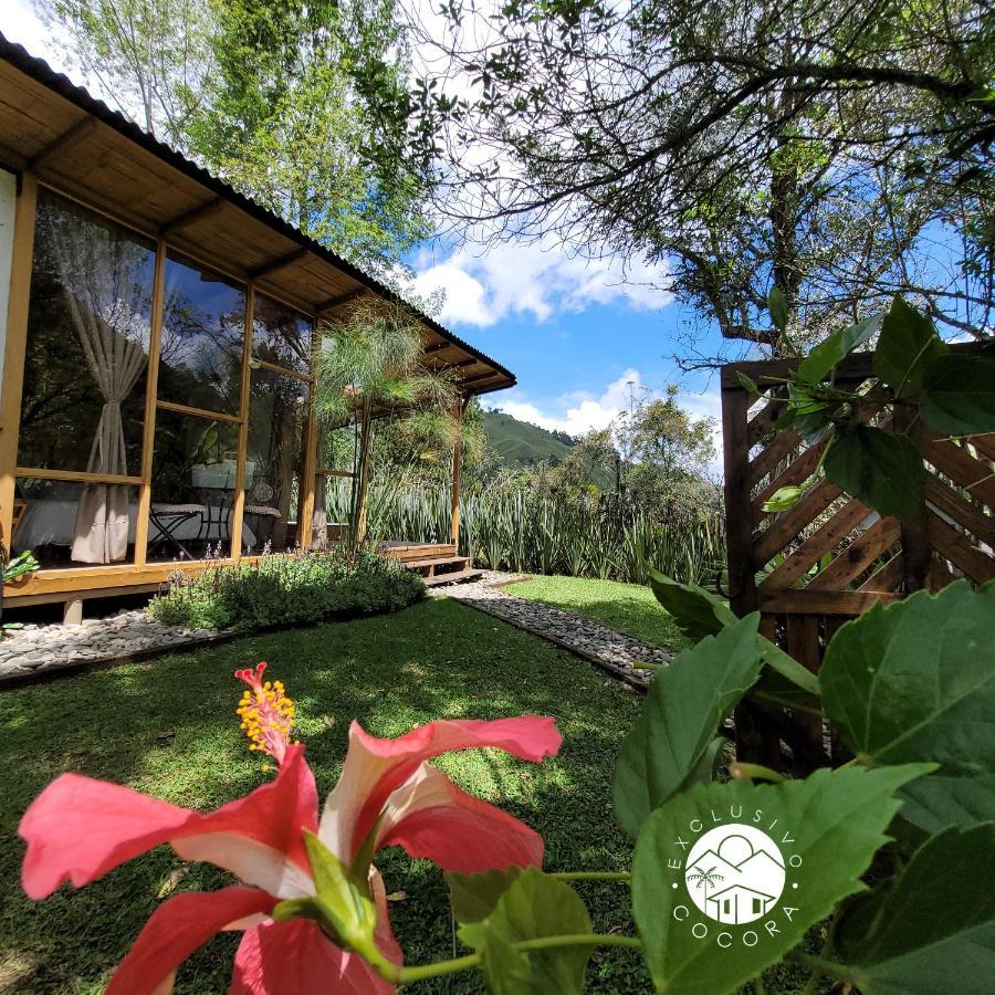 Exclusivo Cocora Con Jacuzzi Salento Quindio Villa Eksteriør bilde