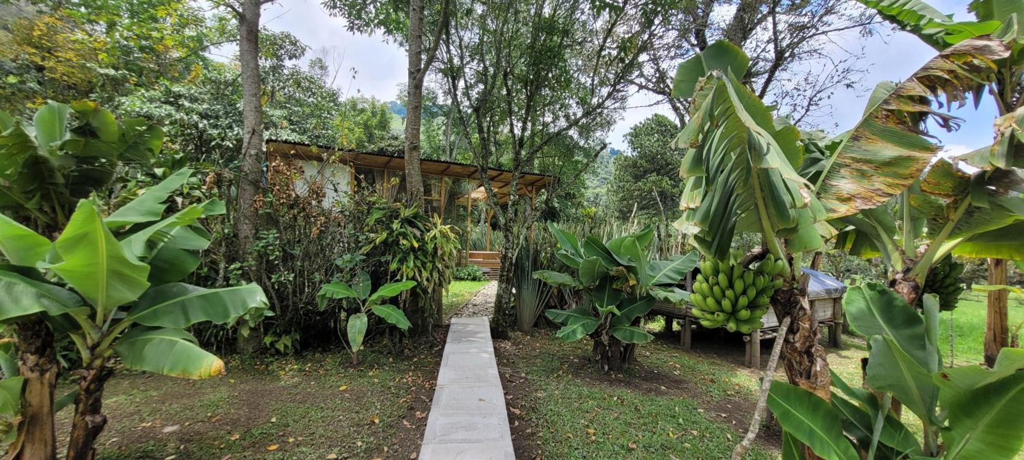 Exclusivo Cocora Con Jacuzzi Salento Quindio Villa Eksteriør bilde