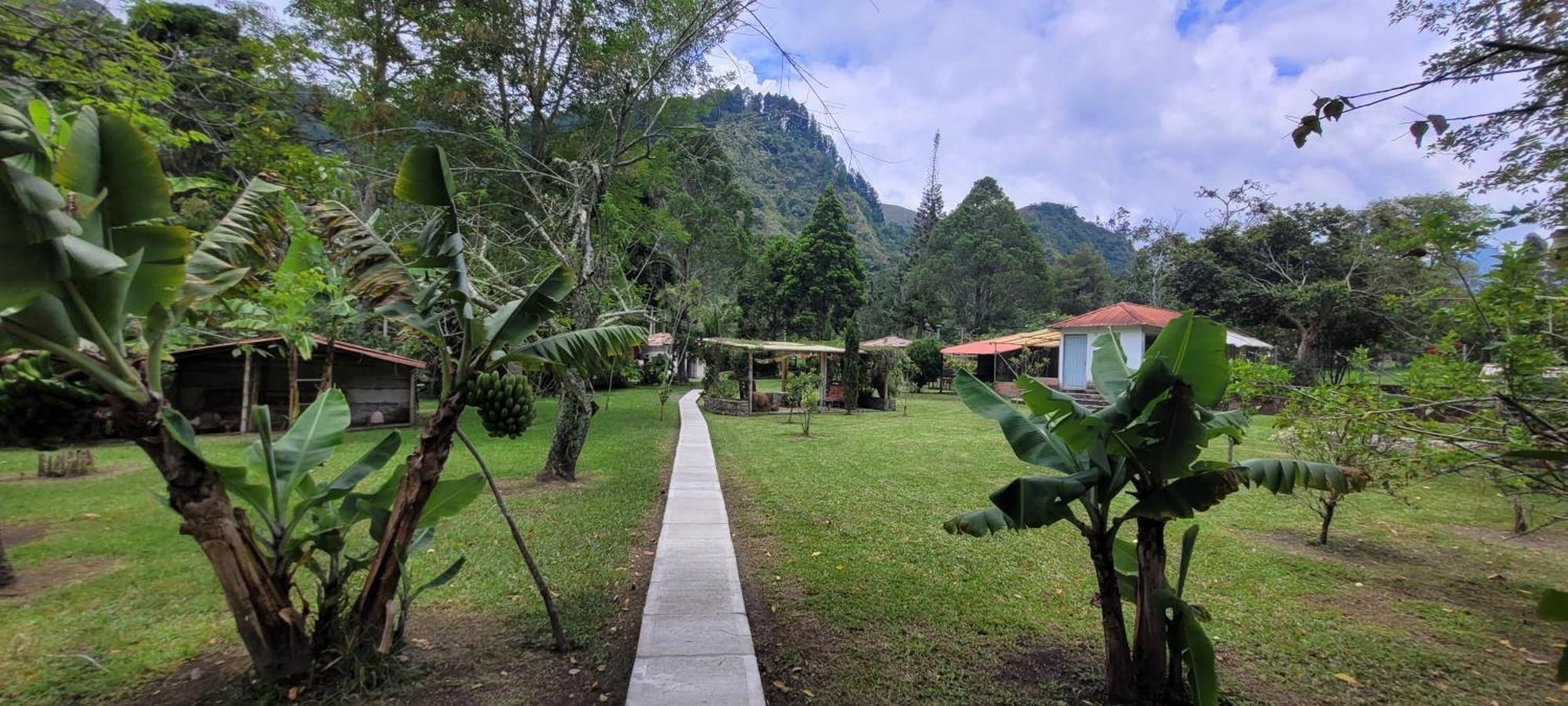 Exclusivo Cocora Con Jacuzzi Salento Quindio Villa Eksteriør bilde