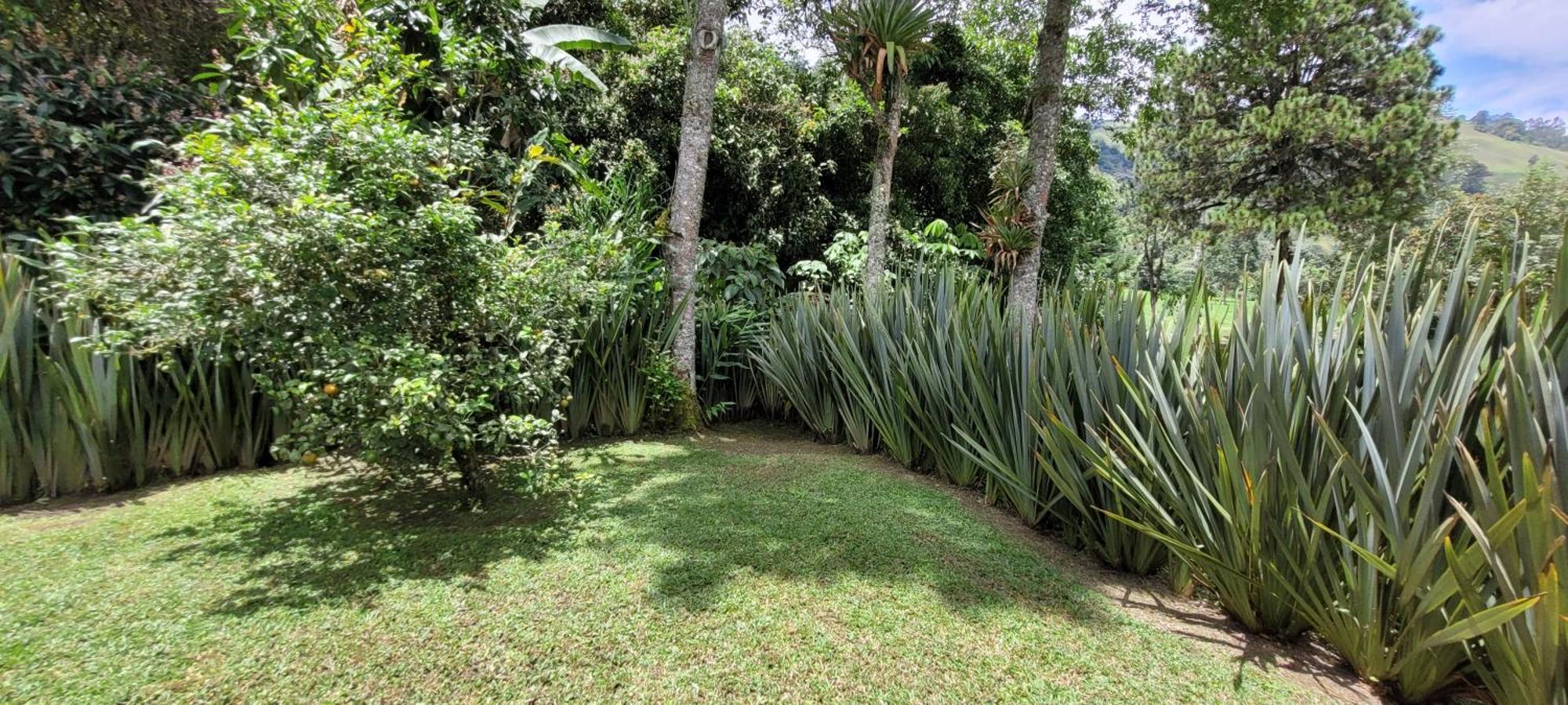 Exclusivo Cocora Con Jacuzzi Salento Quindio Villa Eksteriør bilde